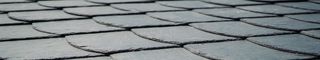 Motiv-Bilder